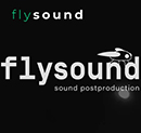 студия звукозаписи FlySound
